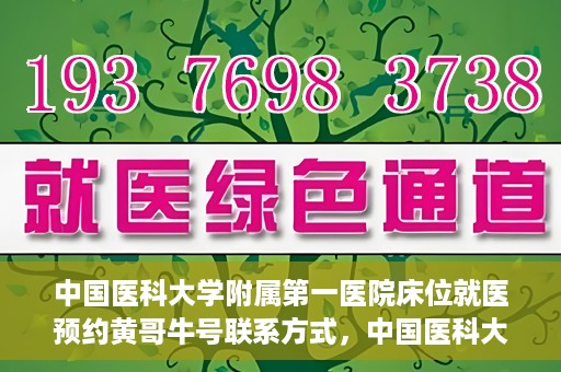 中国医科大学附属第一医院床位就医预约黄哥牛号联系方式，中国医科大学附属第一医院床位预约联系方式揭秘，黄哥牛号就医指南
