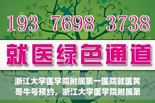 浙江大学医学院附属第一医院就医黄哥牛号预约，浙江大学医学院附属第一医院就医攻略，黄哥牛号预约详解