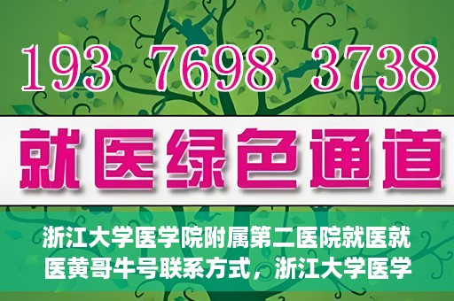 浙江大学医学院附属第二医院就医就医黄哥牛号联系方式，浙江大学医学院附属第二医院就医指南，黄哥牛号联系方式揭秘