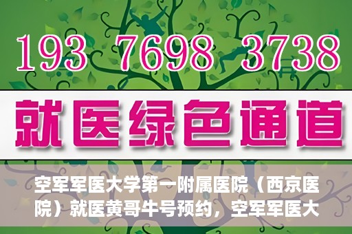 空军军医大学第一附属医院（西京医院）就医黄哥牛号预约，空军军医大学第一附属医院（西京医院）黄哥牛号预约就医攻略