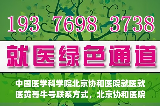 中国医学科学院北京协和医院就医就医黄哥牛号联系方式，北京协和医院就医攻略，黄哥牛号联系方式揭秘！