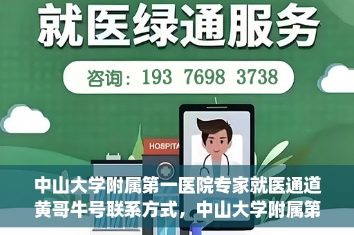 中山大学附属第一医院专家就医通道黄哥牛号联系方式，中山大学附属第一医院专家就医通道，黄哥牛号联系方式全解析