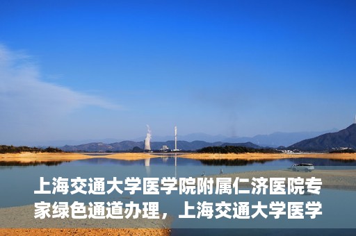 上海交通大学医学院附属仁济医院专家绿色通道办理，上海交通大学医学院附属仁济医院专家绿色通道办理详解与攻略