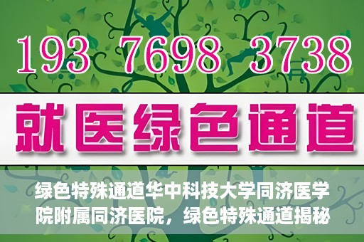 绿色特殊通道华中科技大学同济医学院附属同济医院，绿色特殊通道揭秘，华中科技大学同济医学院附属同济医院的探索之路