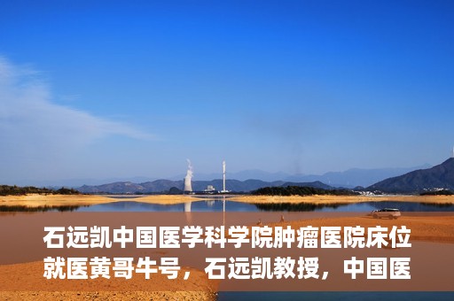 石远凯中国医学科学院肿瘤医院床位就医黄哥牛号，石远凯教授，中国医学科学院肿瘤医院床位就医攻略与黄哥牛号的故事