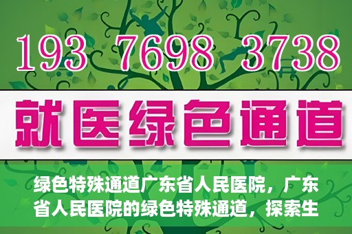 绿色特殊通道广东省人民医院，广东省人民医院的绿色特殊通道，探索生命的新路径