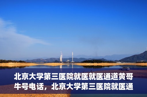 北京大学第三医院就医就医通道黄哥牛号电话，北京大学第三医院就医通道详解，黄哥牛号电话一键预约就医服务