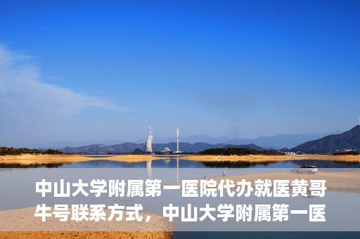 中山大学附属第一医院代办就医黄哥牛号联系方式，中山大学附属第一医院就医黄哥牛号代办服务联系方式揭秘