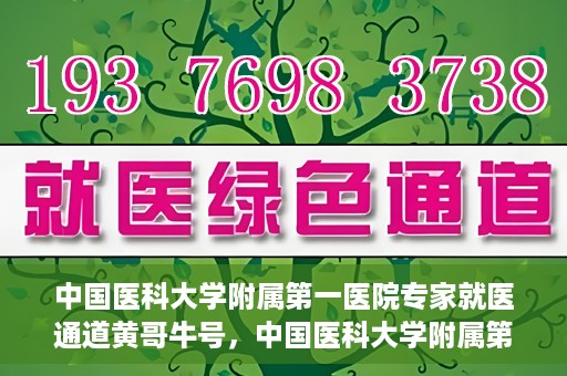 中国医科大学附属第一医院专家就医通道黄哥牛号，中国医科大学附属第一医院专家就医通道揭秘，黄哥牛号引领就医新风尚