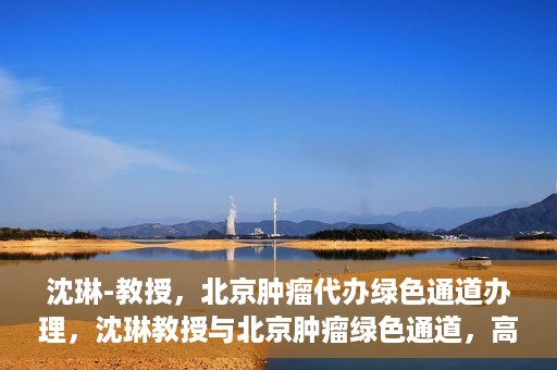 沈琳-教授，北京肿瘤代办绿色通道办理，沈琳教授与北京肿瘤绿色通道，高效代办助力健康之路