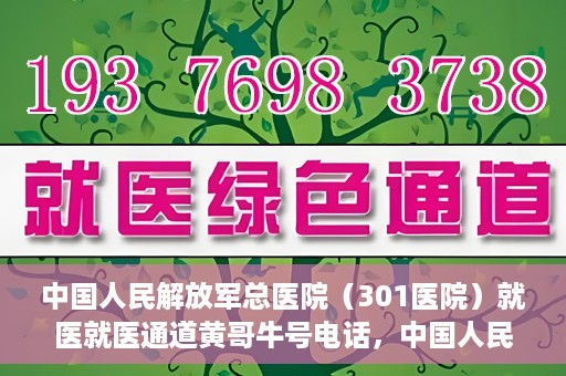 中国人民解放军总医院（301医院）就医就医通道黄哥牛号电话，中国人民解放军总医院（301医院）就医通道详解，黄哥牛号电话与就医指南