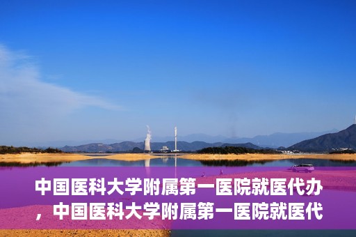 中国医科大学附属第一医院就医代办，中国医科大学附属第一医院就医代办服务详解