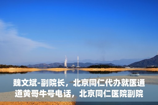 魏文斌-副院长，北京同仁代办就医通道黄哥牛号电话，北京同仁医院副院长魏文斌与就医通道黄哥牛号电话揭秘