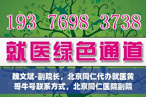 魏文斌-副院长，北京同仁代办就医黄哥牛号联系方式，北京同仁医院副院长魏文斌与就医黄哥，牛号联系方式背后的故事