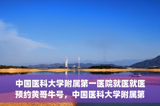 中国医科大学附属第一医院就医就医预约黄哥牛号，中国医科大学附属第一医院就医预约黄哥牛号，一站式便捷医疗体验新选择