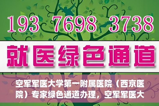 空军军医大学第一附属医院（西京医院）专家绿色通道办理，空军军医大学第一附属医院（西京医院）专家绿色通道办理详解与指南