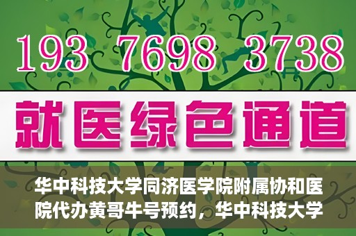 华中科技大学同济医学院附属协和医院代办黄哥牛号预约，华中科技大学同济医学院附属协和医院预约挂号代办服务解析——黄哥牛号预约攻略揭秘