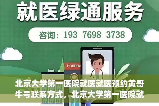 北京大学第一医院就医就医预约黄哥牛号联系方式，北京大学第一医院就医预约指南，黄哥牛号联系方式全解析