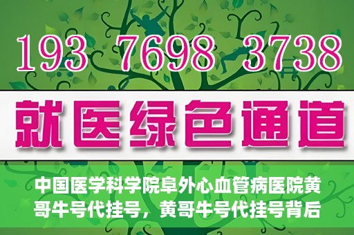 中国医学科学院阜外心血管病医院黄哥牛号代挂号，黄哥牛号代挂号背后的故事，阜外心血管病医院的探索与挑战