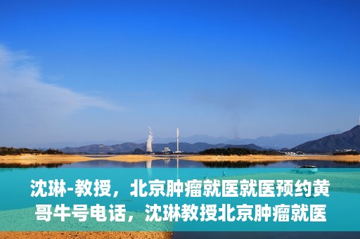 沈琳-教授，北京肿瘤就医就医预约黄哥牛号电话，沈琳教授北京肿瘤就医预约热线揭秘，黄哥牛号电话助您轻松挂号就医