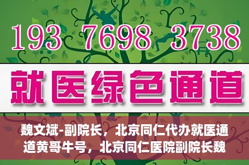 魏文斌-副院长，北京同仁代办就医通道黄哥牛号，北京同仁医院副院长魏文斌揭秘就医通道，黄哥牛号助力患者便捷就医体验