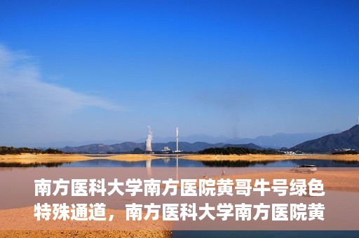 南方医科大学南方医院黄哥牛号绿色特殊通道，南方医科大学南方医院黄哥牛号，绿色特殊通道开启健康之门