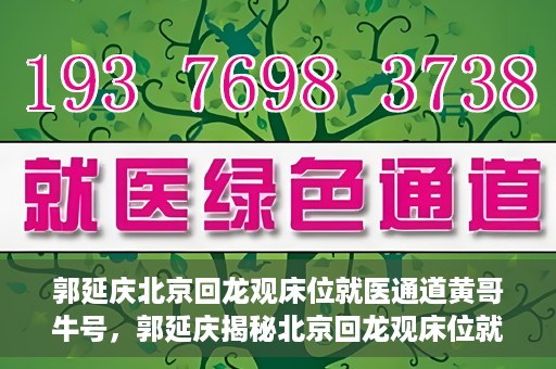 郭延庆北京回龙观床位就医通道黄哥牛号，郭延庆揭秘北京回龙观床位就医通道，黄哥牛号行动开启