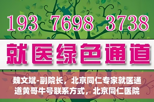 魏文斌-副院长，北京同仁专家就医通道黄哥牛号联系方式，北京同仁医院副院长魏文斌与专家就医通道，黄哥牛号联系方式揭秘