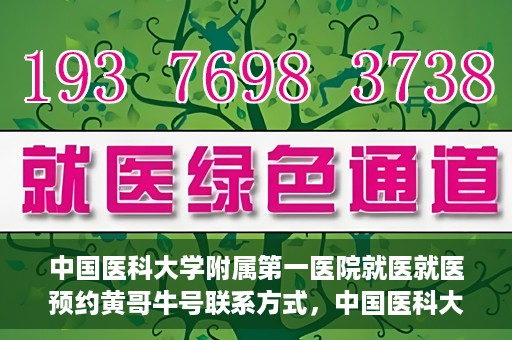 中国医科大学附属第一医院就医就医预约黄哥牛号联系方式，中国医科大学附属第一医院就医预约指南，黄哥牛号联系方式揭秘