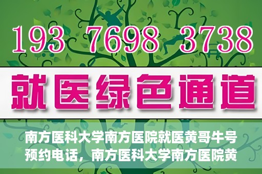 南方医科大学南方医院就医黄哥牛号预约电话，南方医科大学南方医院黄哥牛号预约电话详解，轻松就医新选择