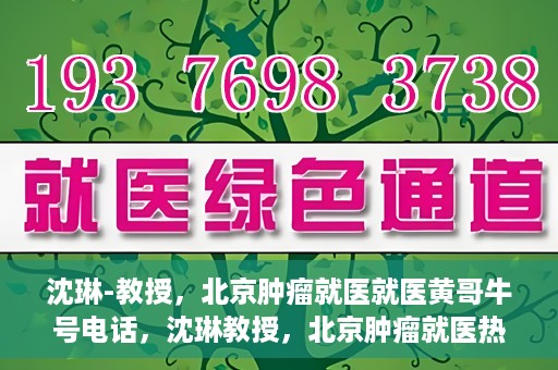 沈琳-教授，北京肿瘤就医就医黄哥牛号电话，沈琳教授，北京肿瘤就医热线黄哥牛号揭秘