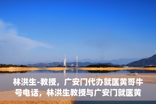 林洪生-教授，广安门代办就医黄哥牛号电话，林洪生教授与广安门就医黄哥，背后的故事与牛号电话揭秘