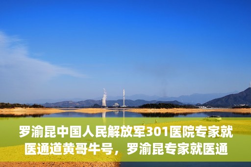 罗渝昆中国人民解放军301医院专家就医通道黄哥牛号，罗渝昆专家就医通道揭秘，中国人民解放军301医院黄哥牛号引领健康之路
