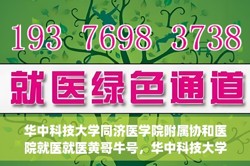 华中科技大学同济医学院附属协和医院就医就医黄哥牛号，华中科技大学同济医学院附属协和医院就医黄哥牛号解析与体验