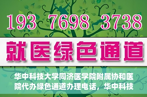 华中科技大学同济医学院附属协和医院代办绿色通道办理电话，华中科技大学同济医学院附属协和医院绿色通道办理指南及联系电话揭秘