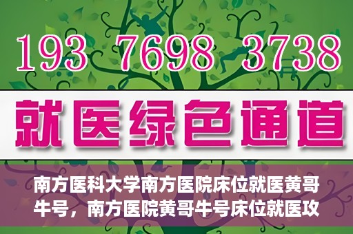 南方医科大学南方医院床位就医黄哥牛号，南方医院黄哥牛号床位就医攻略揭秘