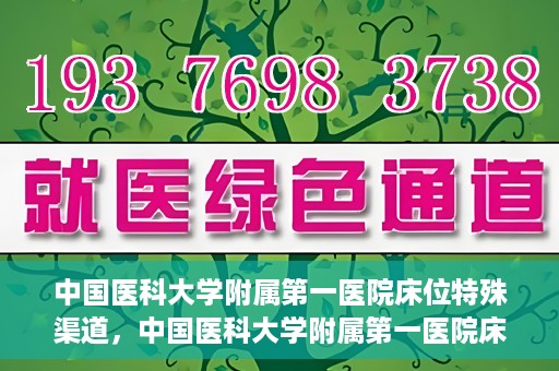 中国医科大学附属第一医院床位特殊渠道，中国医科大学附属第一医院床位特殊预约渠道揭秘