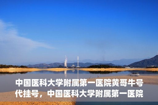 中国医科大学附属第一医院黄哥牛号代挂号，中国医科大学附属第一医院黄哥牛号代挂号服务详解