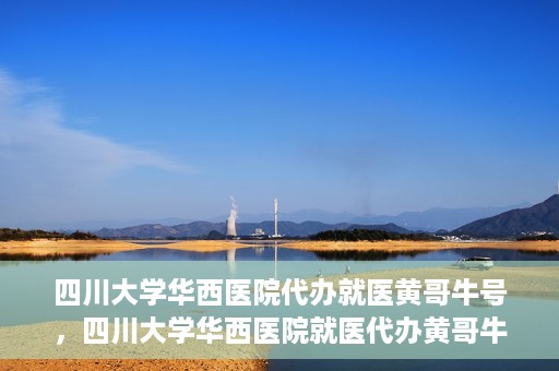 四川大学华西医院代办就医黄哥牛号，四川大学华西医院就医代办黄哥牛号解析，专业医疗服务的背后故事