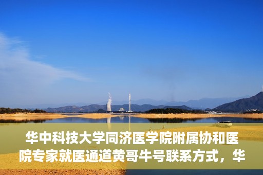 华中科技大学同济医学院附属协和医院专家就医通道黄哥牛号联系方式，华中科技大学同济医学院附属协和医院专家就医通道，黄哥牛号联系方式全解析
