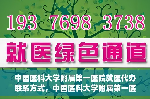 中国医科大学附属第一医院就医代办联系方式，中国医科大学附属第一医院就医代办服务联系方式及流程解析