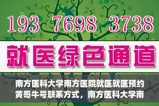 南方医科大学南方医院就医就医预约黄哥牛号联系方式，南方医科大学南方医院预约挂号指南，黄哥牛号联系方式揭秘