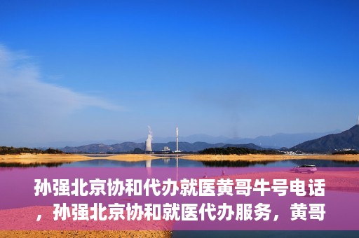 孙强北京协和代办就医黄哥牛号电话，孙强北京协和就医代办服务，黄哥牛号联系电话曝光