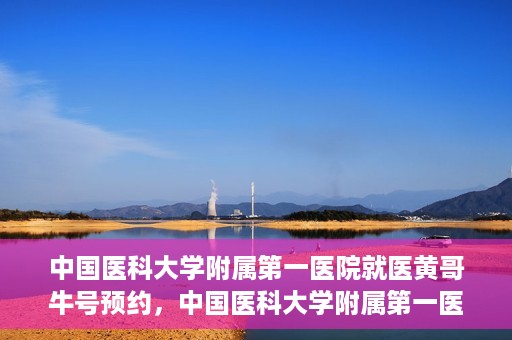 中国医科大学附属第一医院就医黄哥牛号预约，中国医科大学附属第一医院就医黄哥牛号预约攻略详解