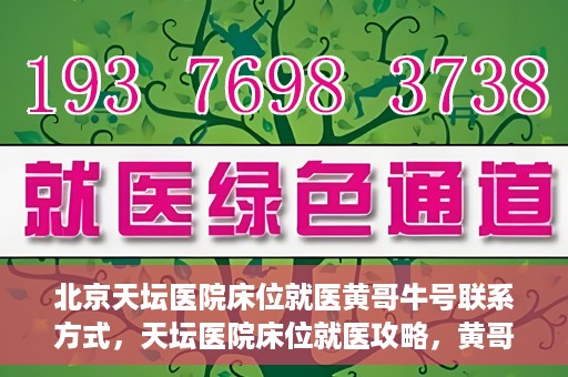 北京天坛医院床位就医黄哥牛号联系方式，天坛医院床位就医攻略，黄哥牛号联系方式揭秘