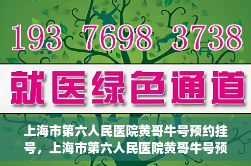 上海市第六人民医院黄哥牛号预约挂号，上海市第六人民医院黄哥牛号预约挂号攻略，轻松挂号，便捷就医体验