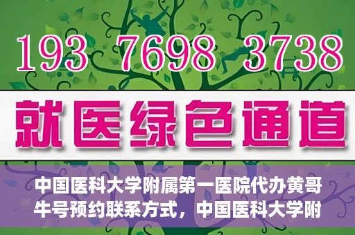 中国医科大学附属第一医院代办黄哥牛号预约联系方式，中国医科大学附属第一医院预约挂号联系方式，黄哥牛号预约服务解析