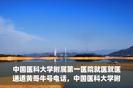 中国医科大学附属第一医院就医就医通道黄哥牛号电话，中国医科大学附属第一医院就医通道解析，黄哥牛号电话及其服务详解