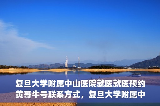 复旦大学附属中山医院就医就医预约黄哥牛号联系方式，复旦大学附属中山医院就医预约指南，黄哥牛号联系方式全解析