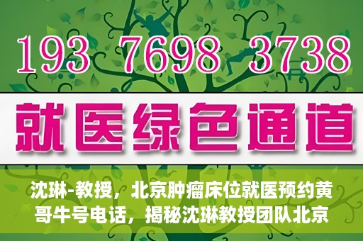 沈琳-教授，北京肿瘤床位就医预约黄哥牛号电话，揭秘沈琳教授团队北京肿瘤床位预约背后的故事，黄哥牛号电话就医攻略